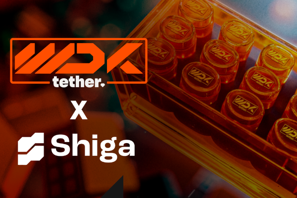 Tether ve Shiga’dan Afrika ve Körfez ülkelerinde finansal iş birliği Tether ve Shiga’dan Afrika ve Körfez ülkelerinde finansal iş birliği