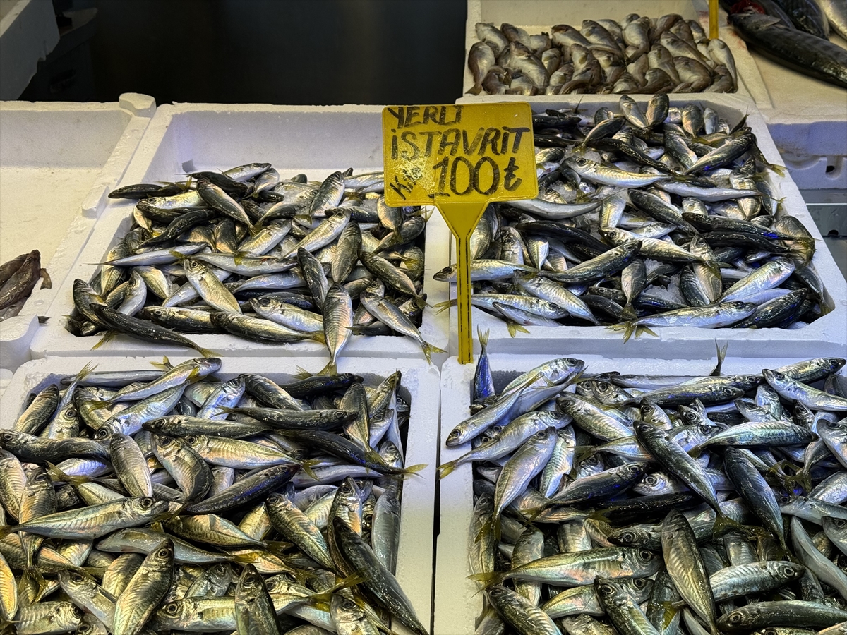 Trabzon'da hamsi ve istavrit 100 liradan satılıyor