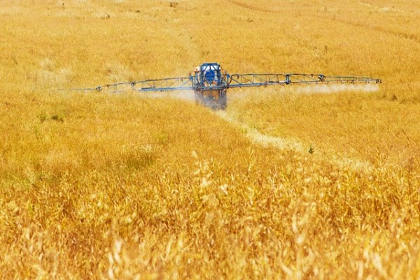 TÜRİB’de tarım ürünleri fiyatlarında haftalık yükseliş öne çıktı TÜRİB’de tarım ürünleri fiyatlarında haftalık yükseliş öne çıktı