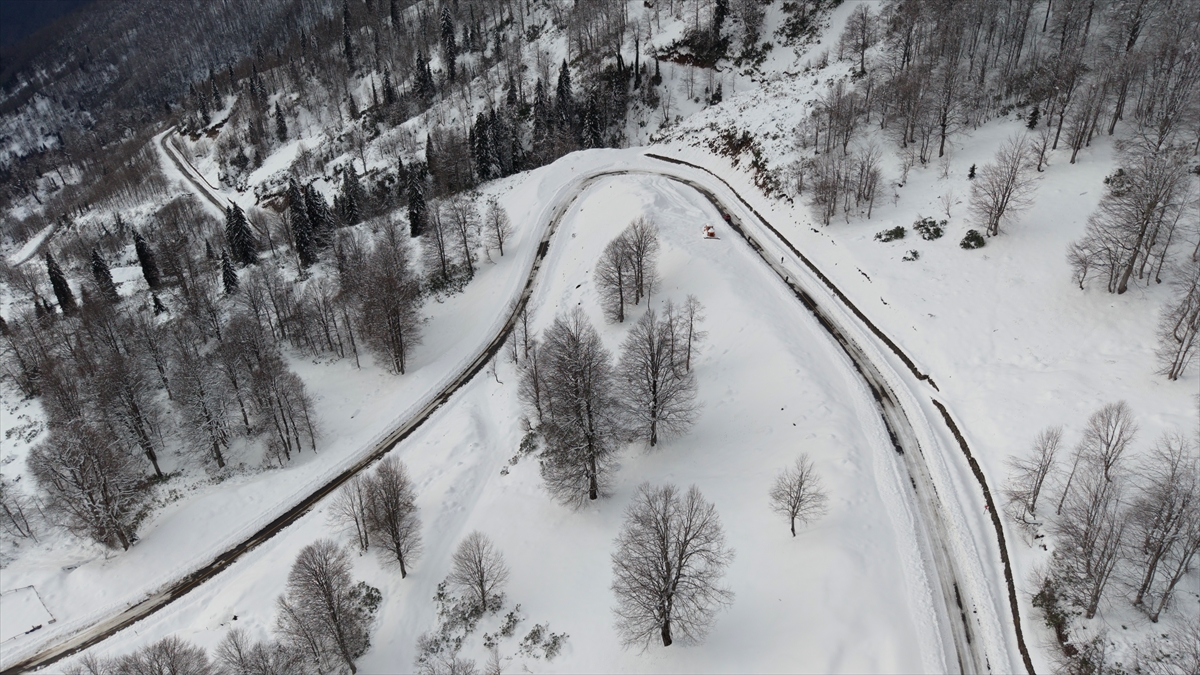 Türkiye’nin biyosfer rezervi alanı Camili Havzası beyaz örtü ile kaplandı