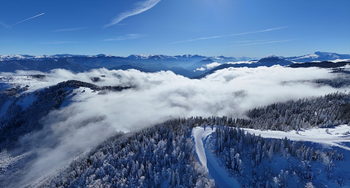 Türkiye’nin biyosfer rezervi alanı Camili Havzası beyaz örtü ile kaplandı