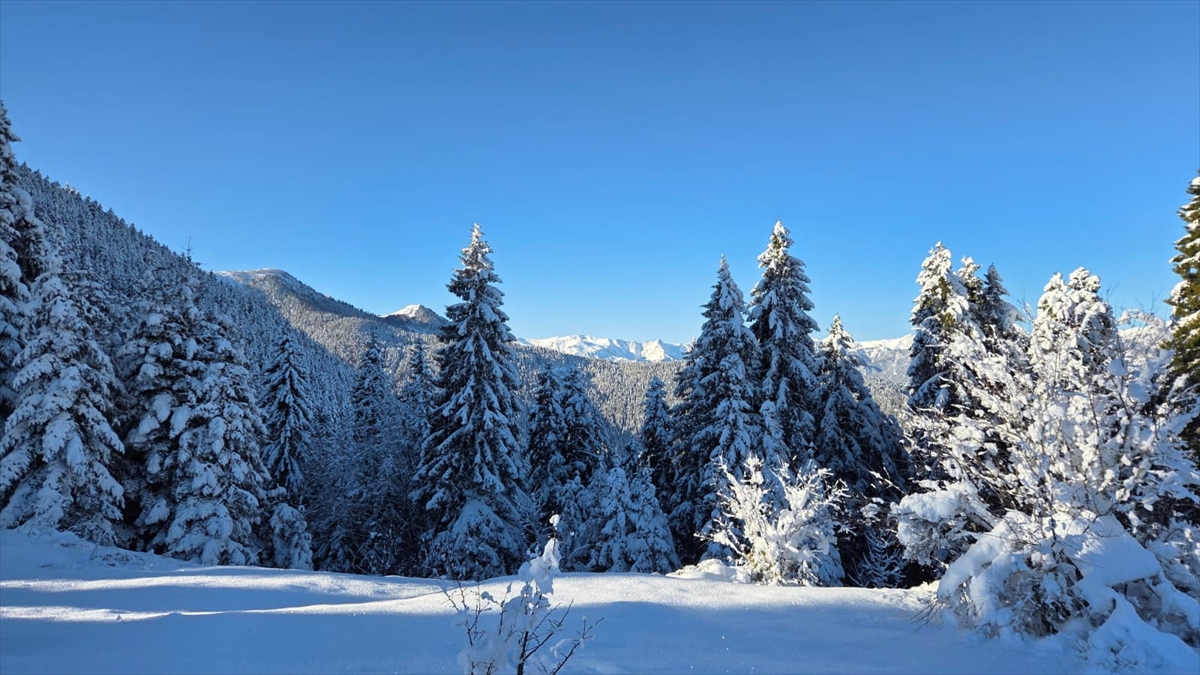 Türkiye’nin biyosfer rezervi alanı Camili Havzası beyaz örtü ile kaplandı