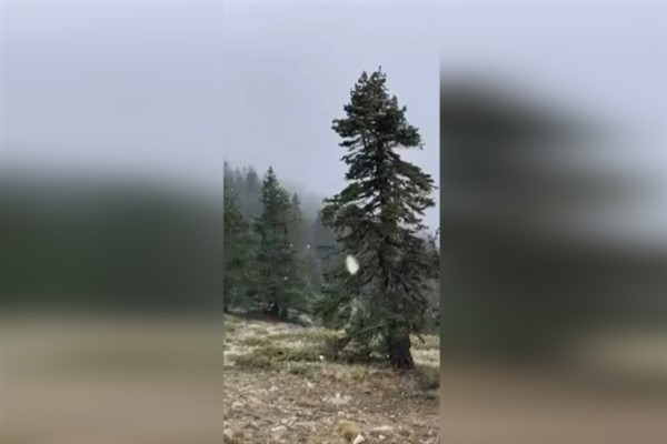 Uludağ’da kısa süreli kar yağışı görüldü Uludağ’da kısa süreli kar yağışı görüldü