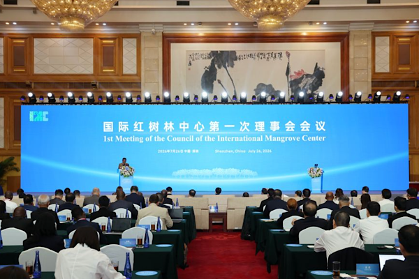 Uluslararası Mangrov Merkezi Shenzhen’de faaliyete geçti Uluslararası Mangrov Merkezi Shenzhen’de faaliyete geçti