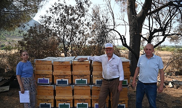 Yangında Kovanları Zarar Gören Arıcıya Büyükşehir'den Destek Yangında Kovanları Zarar Gören Arıcıya Büyükşehir'den Destek