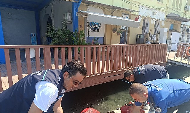 Yasa Dışı Kara Midye Avcılığına Geçit Yok Yasa Dışı Kara Midye Avcılığına Geçit Yok