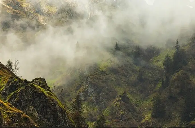 4 Bölümden Oluşan 'Vahşi Karpatlar',   26 Eylül Cumartesi Saat 20.00'de Art Arda Tüm Bölümleriyle National Geographic WILD Ekranlarında!
