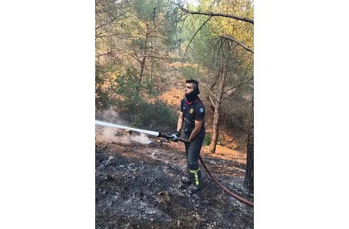 Alevlere karşı ortak mücadele