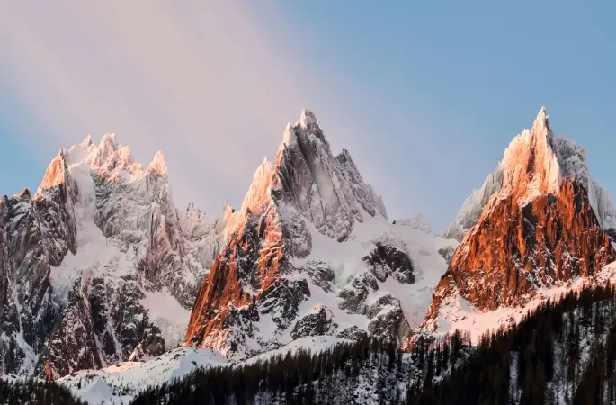 Alplerde otlatmanın yeniden başlatılması daha dirençli ekosistemler sağlayabilir