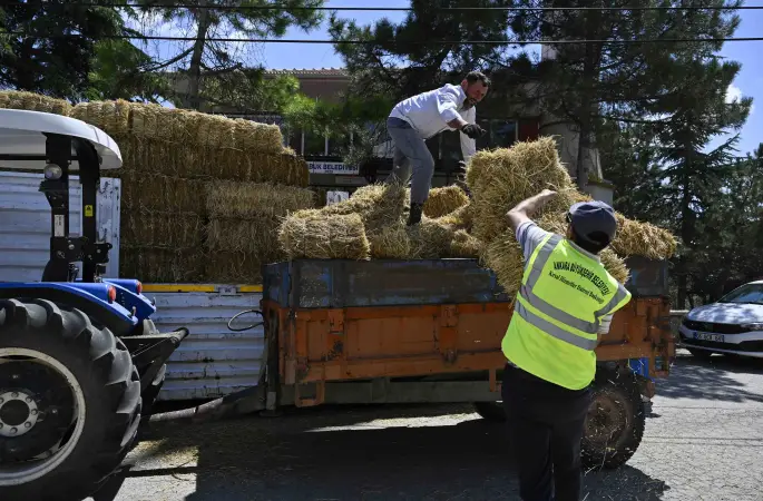 ATA Çiftliği’nde yapılan hasat kırsaldaki üreticiye ulaştırılıyor