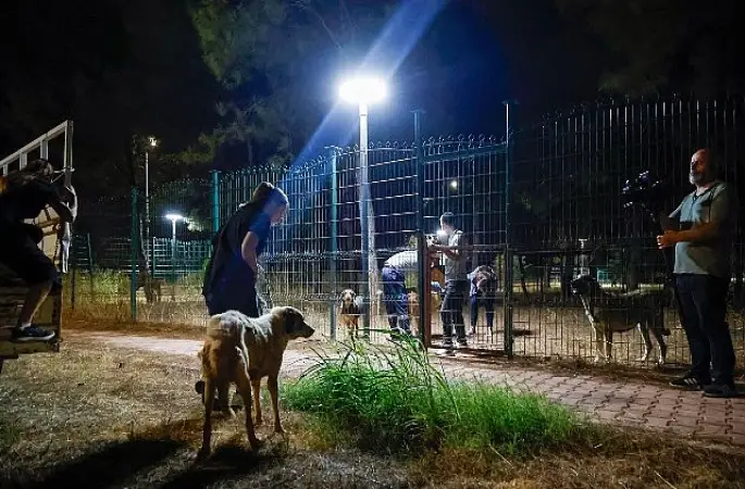 Büyükşehir ekipleri can dostlar için seferber oldu