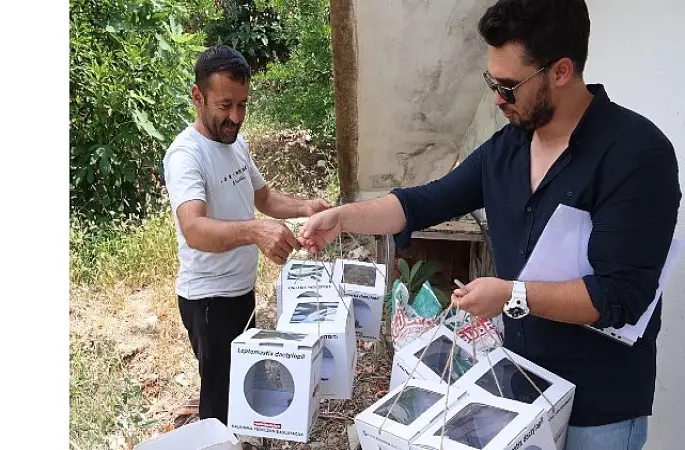 Büyükşehir'den 800 dekar araziye faydalı böcek desteği