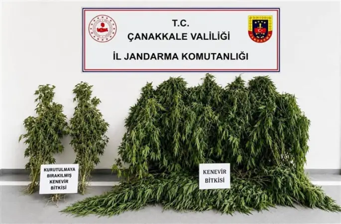 Çanakkale’de uyuşturucu operasyonu