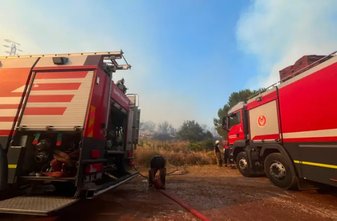 Çandarlı’daki zeytinlik yangını kontrol altına alındı