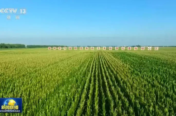 Çin ekonomisinin yüksek kaliteli büyümesine Yeni Kalkınma Anlayışı yön veriyor
