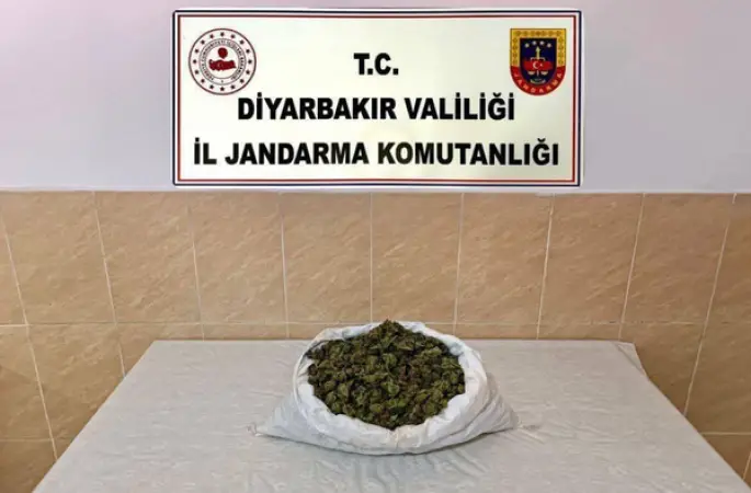 Diyarbakır’da jandarma operasyonlarında 253 bin kök kenevir skunk ele geçirildi