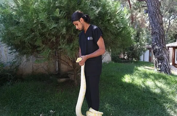  Doğal Yaşam Parkı'nda dünya yılan günü etkinliği