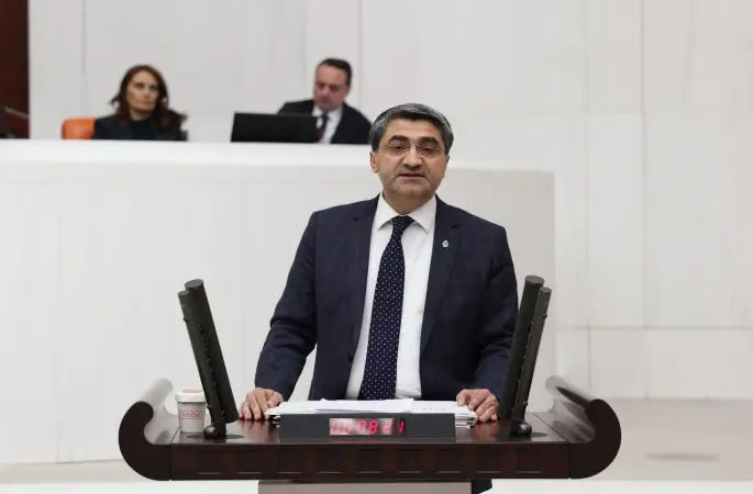 Ekmen: Devletin görevi yatırımcıya kazanç garantisi vermek değildir