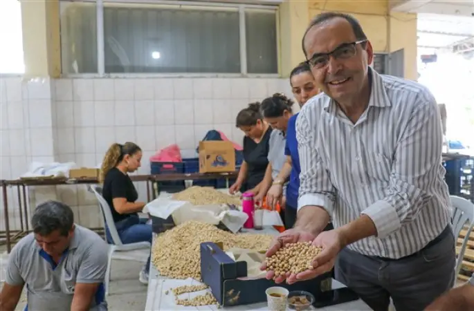 Gazipaşa’da 30 dönüm alanda nohut hasadı yapıldı