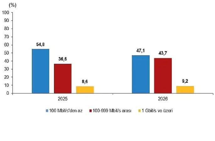 Girişimlerde Bilişim Teknolojileri Kullanım Araştırması, 2026