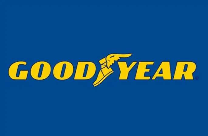 Goodyear'ın bedelsiz pay alma hakkı kullanım başlangıç tarihi