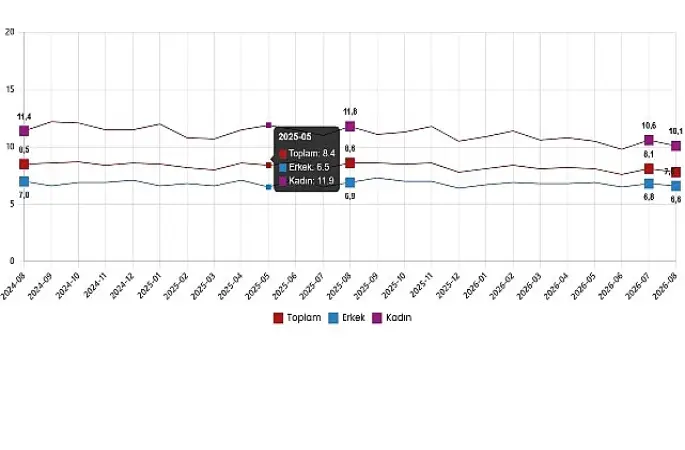 İşgücü İstatistikleri, Ağustos 2026