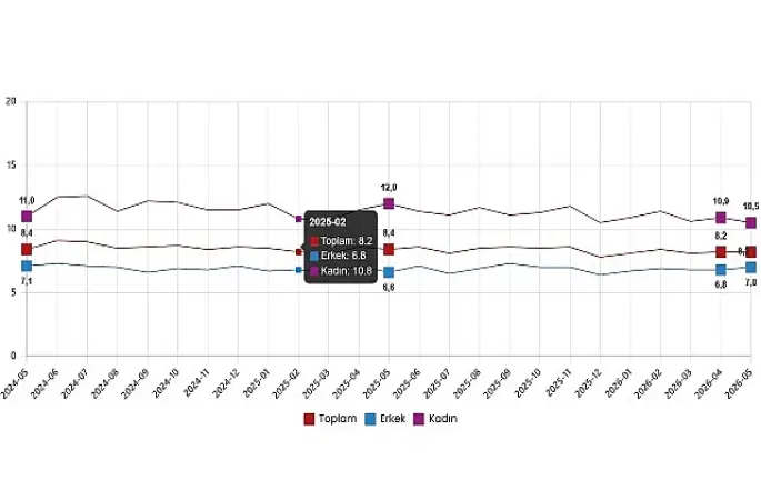 İşgücü İstatistikleri, Mayıs 2026