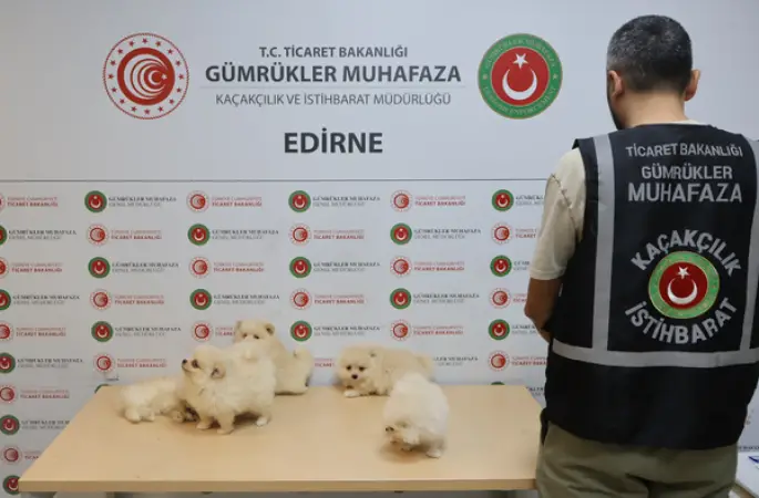 Kapıkule'de hayvan kaçakçılığı operasyonu
