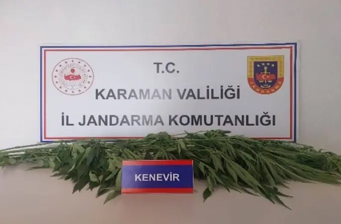 Karaman’da denetimlerde 66 kök kenevir ele geçirildi