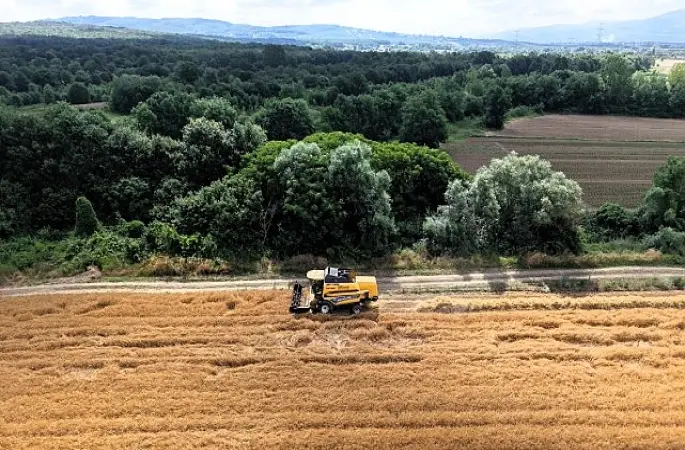 Kocaeli'de tarım, altın çağını yaşıyor
