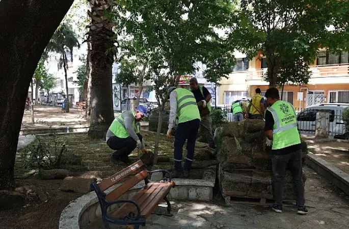 Meşrutiyet Mahallesi Muhtarından Başkan Çerçioğlu'na Hizmet Teşekkürü