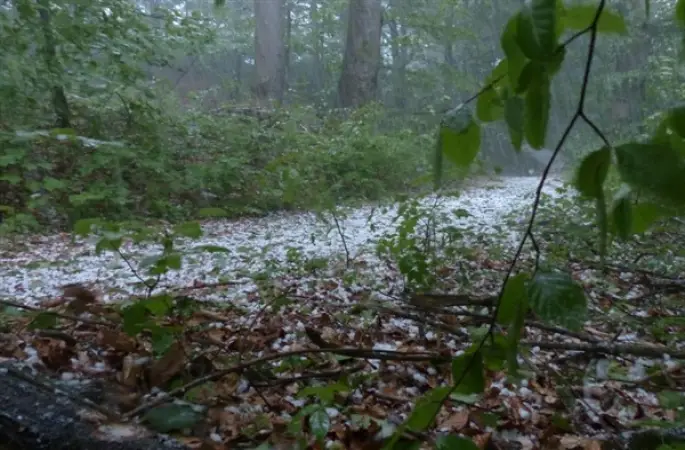Meteoroloji’den kuvvetli yağış ve rüzgar uyarısı