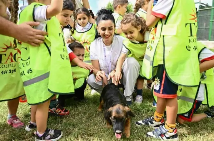 Muratpaşa’da 287 sokak hayvanı yeni yuvasına kavuştu