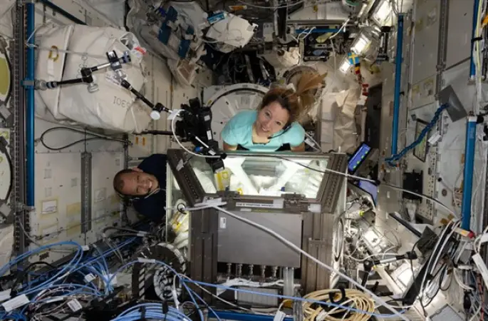 NASA: Williams'ın uzay görevi kanser tedavisi araştırmalarına katkı sağladı