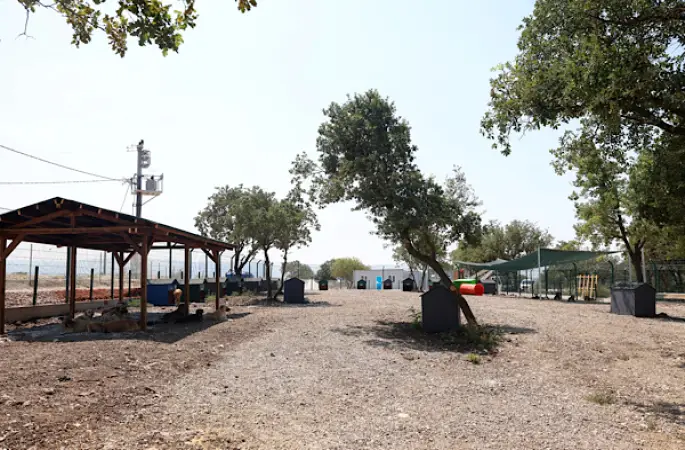 Nilüfer'de 3 bin sahipsiz hayvan kapasiteli merkez hizmete başladı