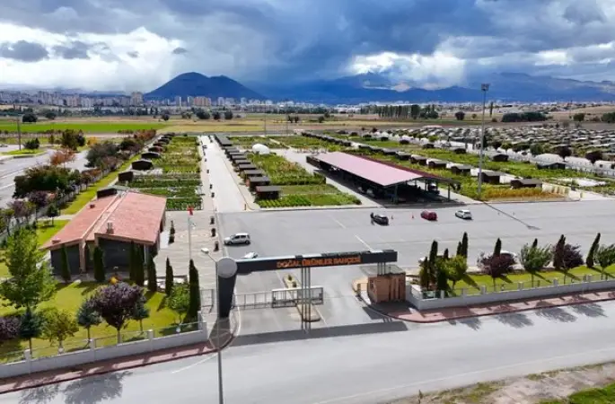 Pınarbaşı kimyonu için özel üretim alanı oluşturuluyor