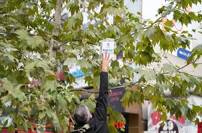 Sadece bu kentin ağaçları kitap açar