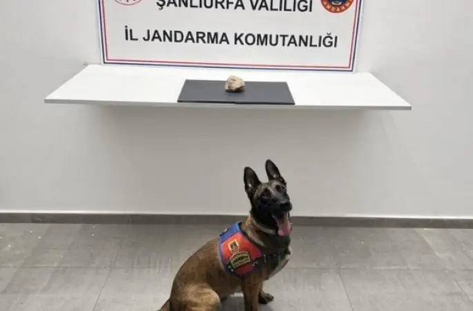 Şanlıurfa’da uyuşturucu operasyonu: 1 tutuklama