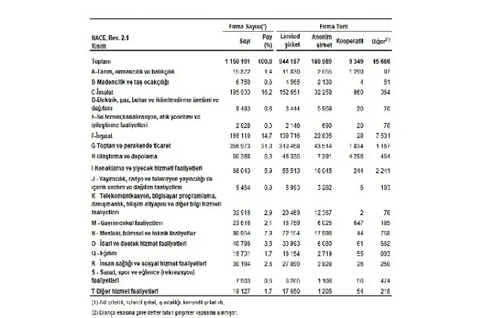 Sektör Bilançoları, 2025
