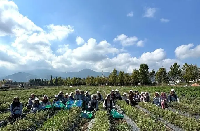 TABİP'te üretimden markalaşmaya uzanan hasat