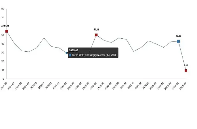 Tarım Ürünleri Üretici Fiyat Endeksi, Haziran 2026