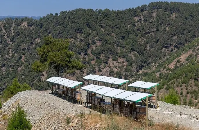 Yenişehir'de 3 Bin 600 dekarlık arı cenneti
